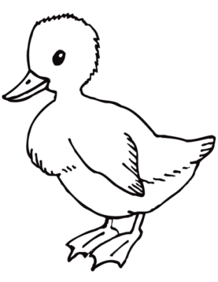Раскраска Милая утка | Раскраски для детей печать онлайн